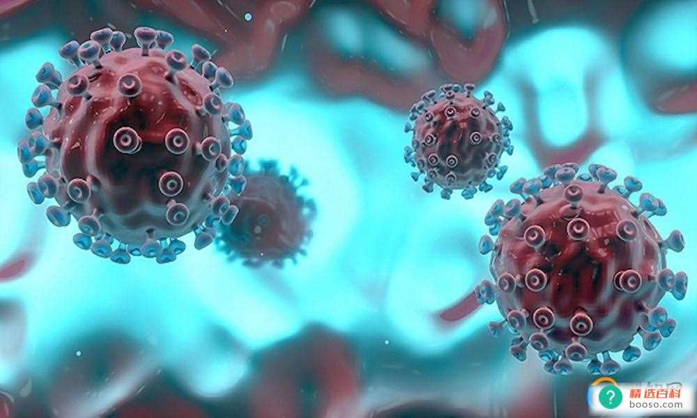 新冠后丧失嗅觉的关键原因找到了（病毒干扰导致）