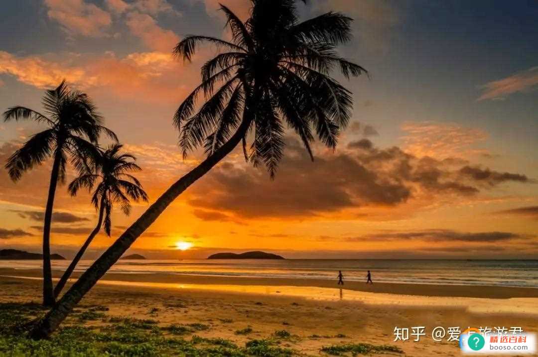 第一波北京阳康坐飞机都去哪儿了（长江以南的地区）