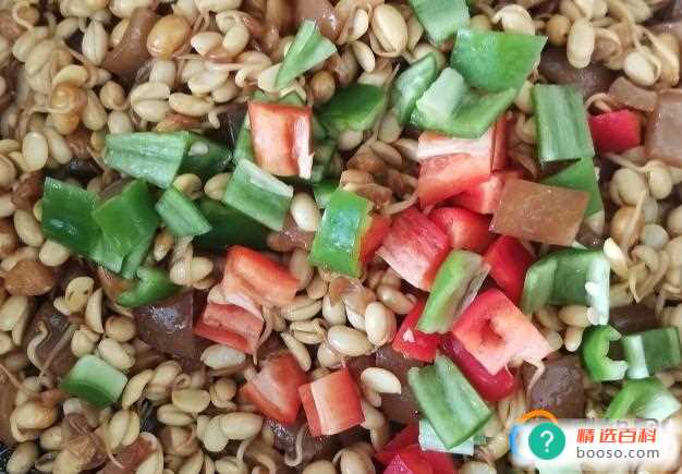 好吃的自制黄豆芽怎么做好吃又简单(如何制作好吃又非常简单的黄豆芽)