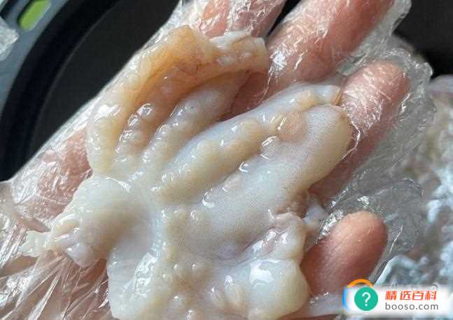 秘制烤章鱼怎么做好吃又简单