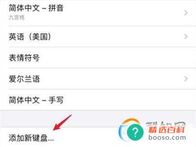 苹果怎么切换输入法