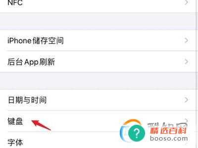 苹果怎么切换输入法