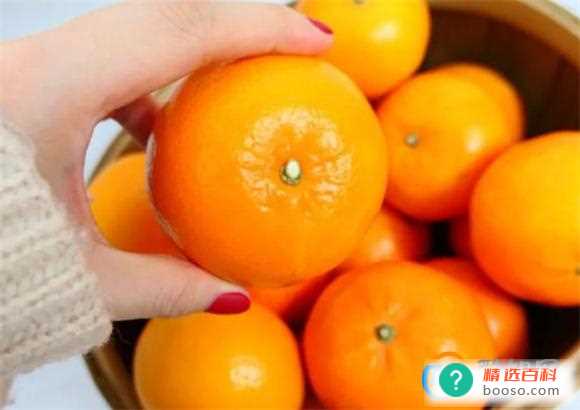 沃柑的功效与作用(沃柑的营养价值比较丰富)