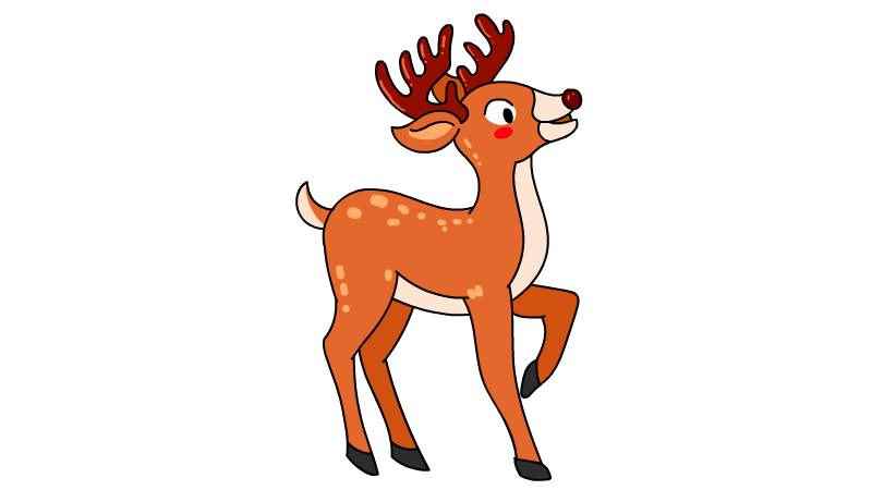 梅花鹿简笔画(梅花鹿的眼睛、身体、四肢和尾巴)