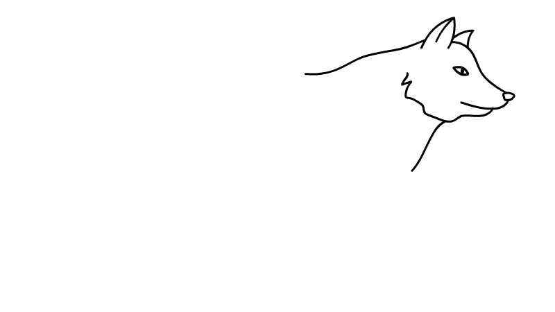 狼简笔画的画法  狼简笔画的教程