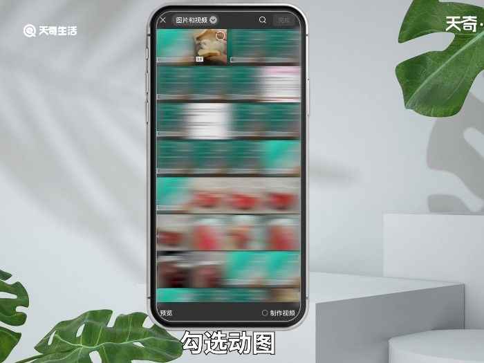 微信能发动图吗 微信动图怎么发送