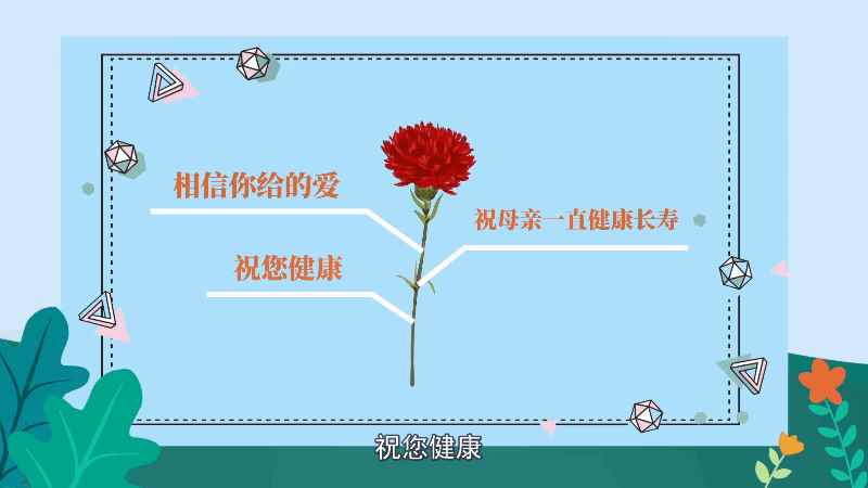 红色康乃馨花语 红色康乃馨花语是什么