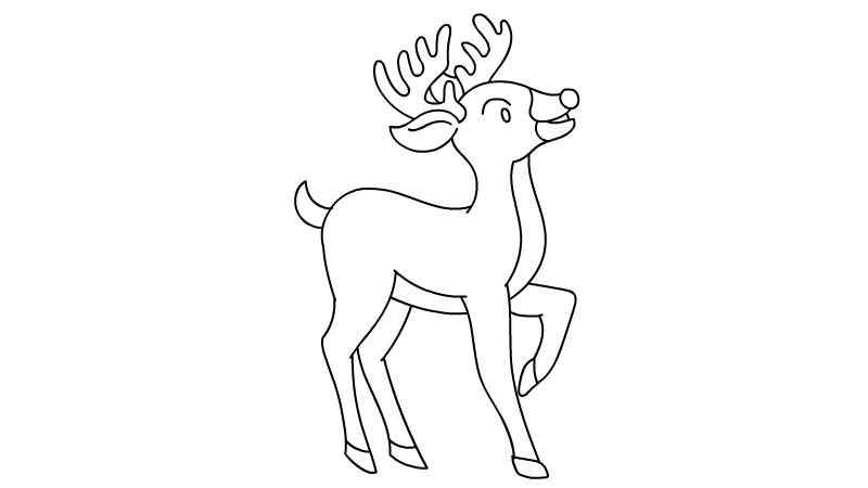 梅花鹿简笔画(梅花鹿的眼睛、身体、四肢和尾巴)