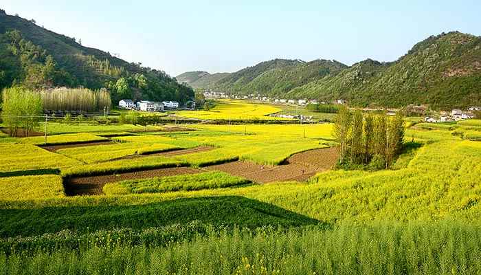 1平方千米等于多少平方米(什么是平方千米)