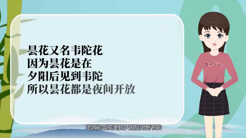 昙花一现下一句是什么(“昙花一现”后一句是“只为韦陀”)