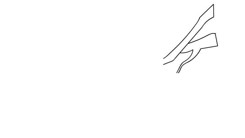 树枝简笔画(画出树枝和叶子的颜色就可以了)