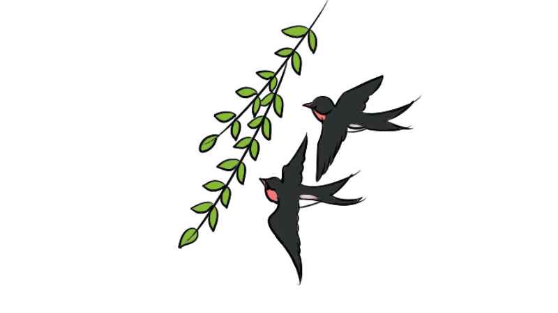 春天简笔画(小燕子怎么搭配才好看)