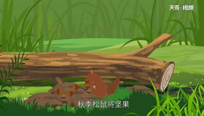 松鼠是哺乳动物吗(松鼠的巢穴大部分营建在距地面8)