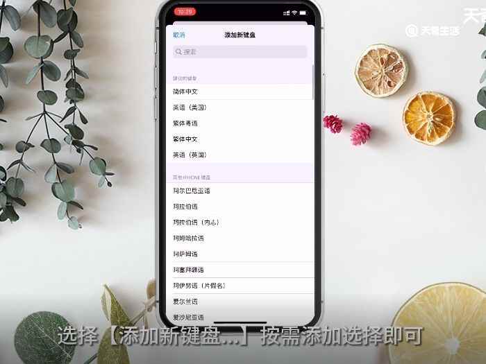 苹果输入法在哪设置(苹果手机怎么设置输入法)