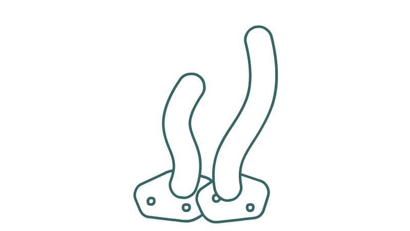 海草简笔画怎么画(两块海底石头和海草的区别)