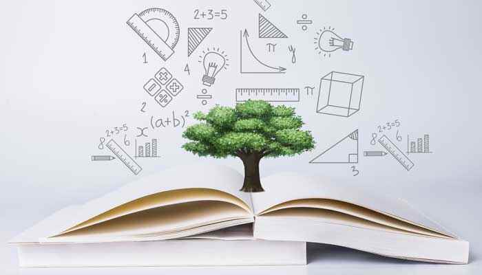 第二次鸦片战争发生的时间是(第二次鸦片战争时间是1856年)