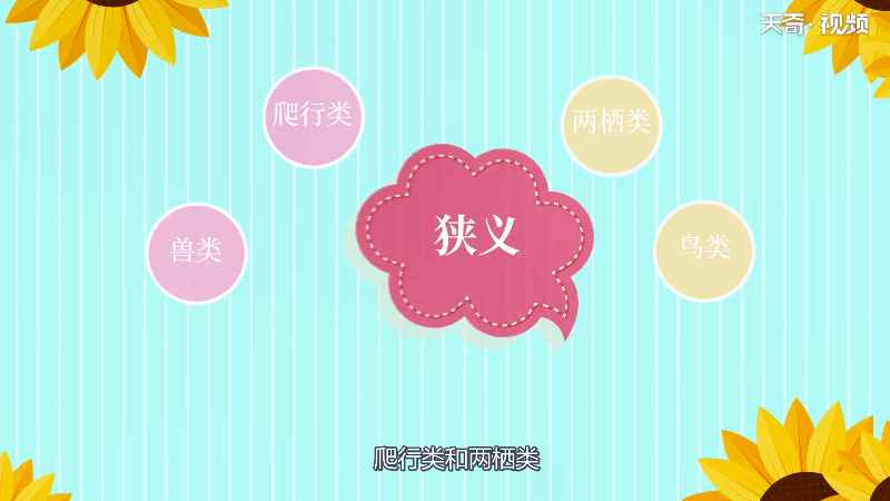 野生动物有哪些 有哪些野生动物