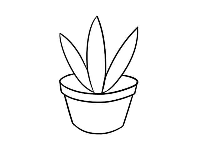 盆栽简笔画(花盆上的花叶怎么画好)