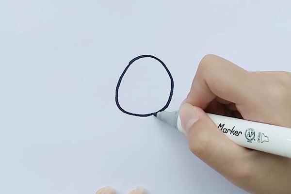 小鸡简笔画(画小鸡的身体轮廓有哪些)