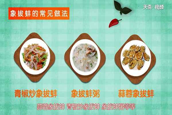 象拔蚌的功效与作用(象拔蚌适合和哪些食物进行搭配)