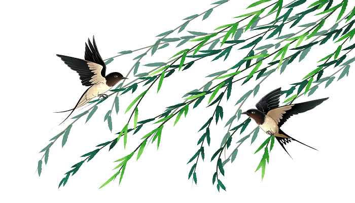 迟日江山丽的全诗翻译(《绝句》的译文:春光下的江山)