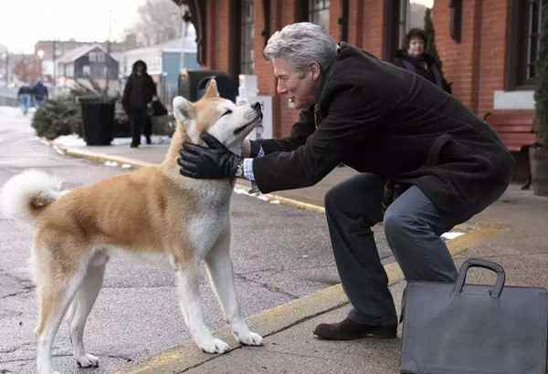 忠犬八公故事(忠犬八公的故事)