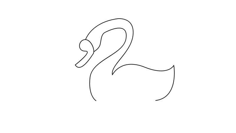 天鹅简笔画教程(天鹅的身体线条有哪些)