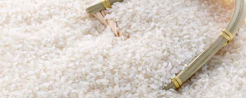 大米保存方法 大米保存方法是什么