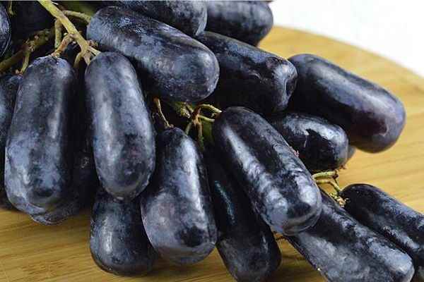 手指黑提子的功效与作用 手指黑提子主要有什么功效