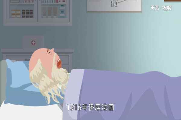 达芬奇是哪个国家的 达芬奇属于哪个国家