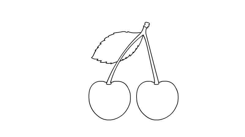 樱桃简笔画(樱桃的外形是什么意思)