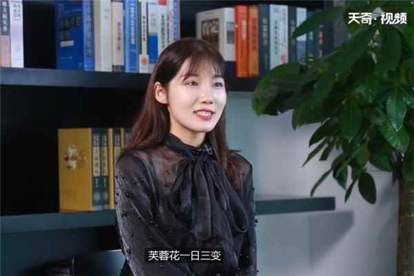 秋天开什么花(只在秋天开放的花有以下几种)