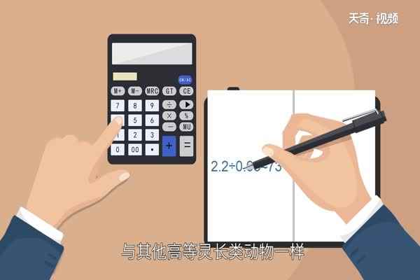 人是什么(人类是地球上有史以来最具智慧的生物)