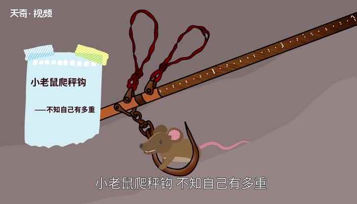 老鼠钻进风箱里歇后语(老鼠钻进风箱里——两头受气)