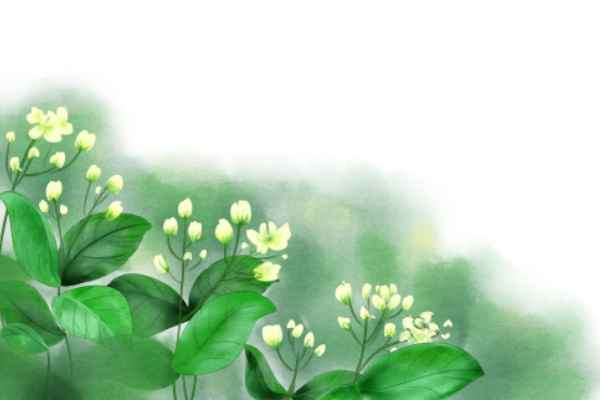 《赠别.其一》拼音版  赠别 杜牧翻译