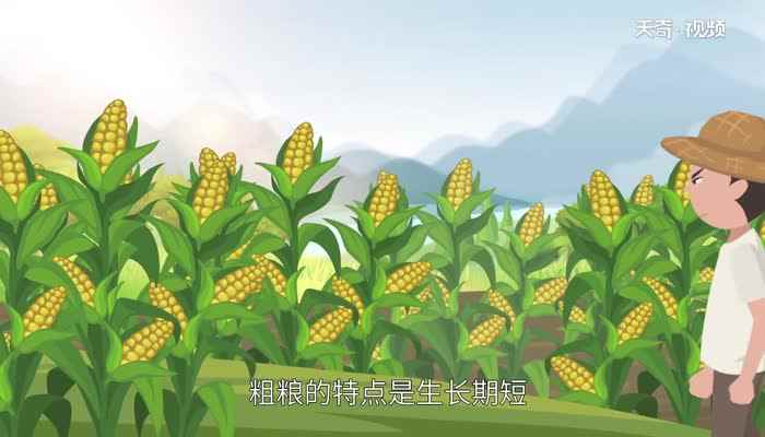 哪些是粗粮食物(粗粮和细粮混合搭配使用)