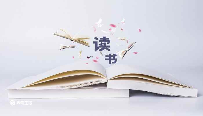 茶花女的作者(《茶花女》的作者是亚历山大小仲马)