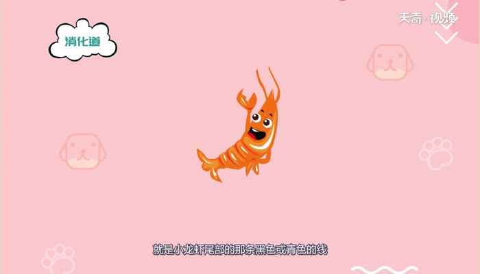 小龙虾有虾线吗(小龙虾是夜间大排档常见的宵夜之一)