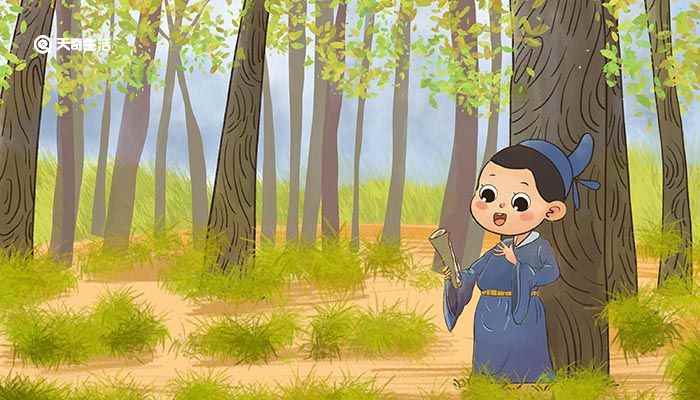 蹇材望伪态文言文翻译(《材望伪态》创作背景)