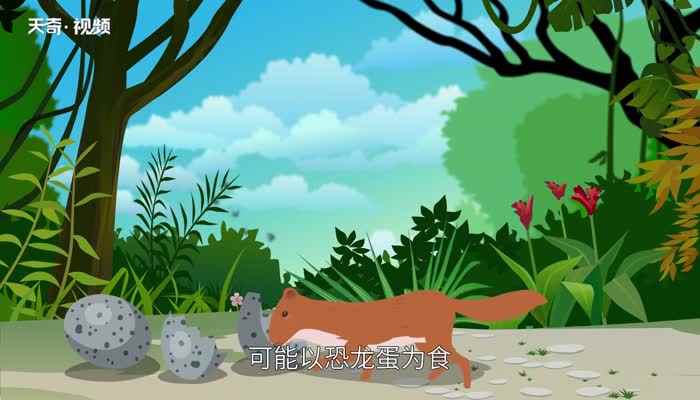 恐龙灭绝的原因 恐龙是如何灭绝的