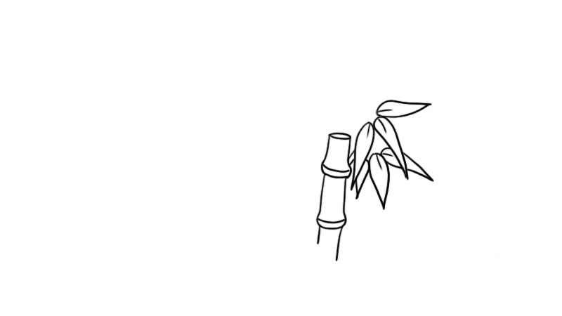 竹子简笔画(竹叶画出一节小竹子和竹叶)