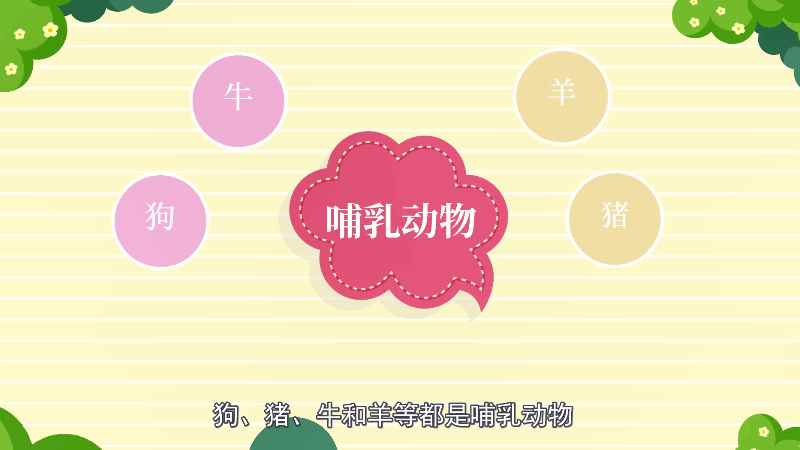 鸡是哺乳动物吗(鸡为什么不是哺乳动物)