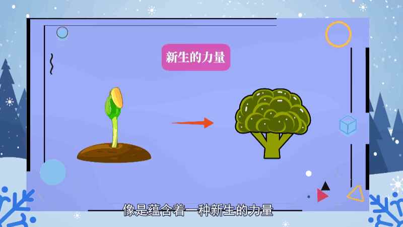 西兰花的花语是简单平凡的爱、希望你永远幸福、美好的期待、我只