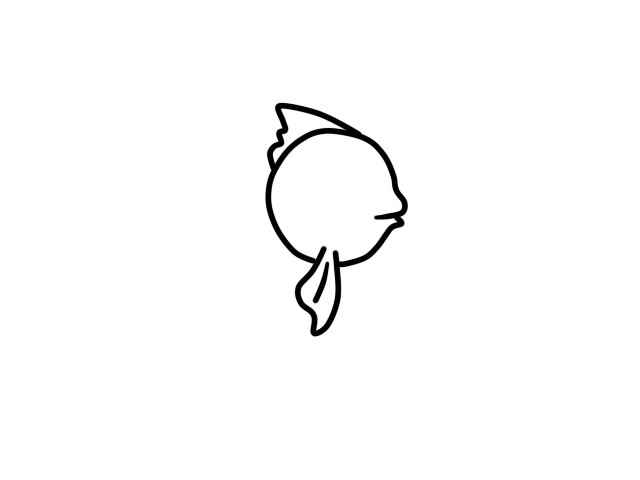 金鱼简笔画(画出金鱼的头是什么意思)