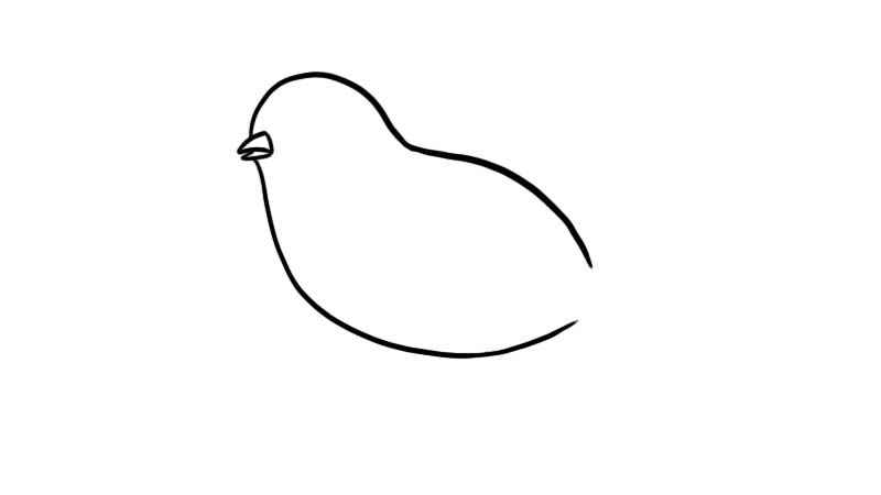 和平鸽简笔画(画出和平鸽的身体和嘴)