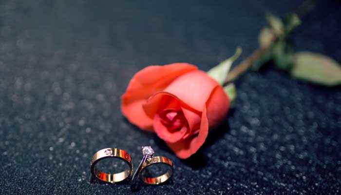 小鹿的玫瑰花告诉我们什么道理 小鹿的玫瑰花告诉我们什么道理用谚语