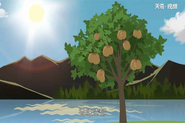 贵州特产有哪些(贵州特产主要以少数民族美食及日常用品为主)