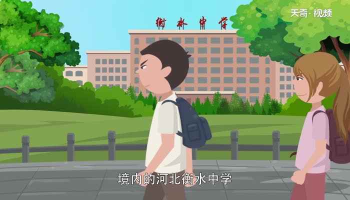 冀t是哪的车牌(冀t是河北省衡水市的车牌号码)