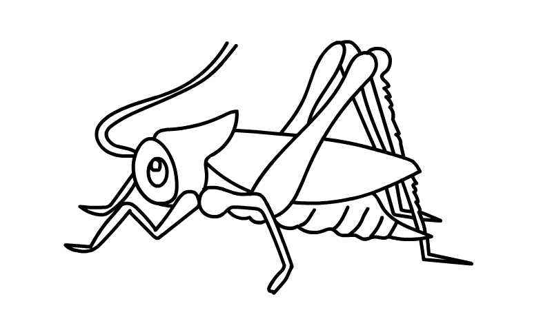 蟋蟀的画法(脑袋线条和触角画好的小象涂上颜色就可以了)