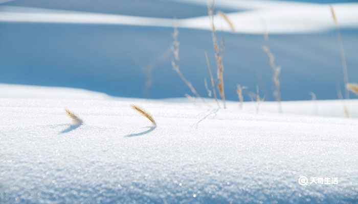 世说新语咏雪原文  世说新语咏雪翻译